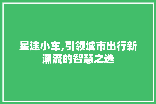 星途小车,引领城市出行新潮流的智慧之选