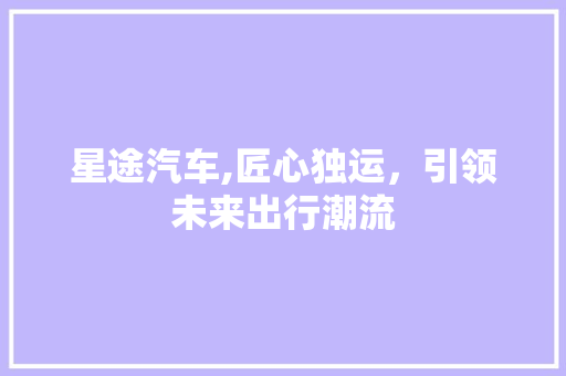 星途汽车,匠心独运，引领未来出行潮流