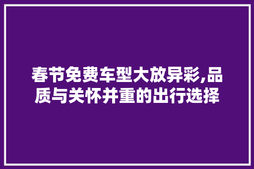 春节免费车型大放异彩,品质与关怀并重的出行选择