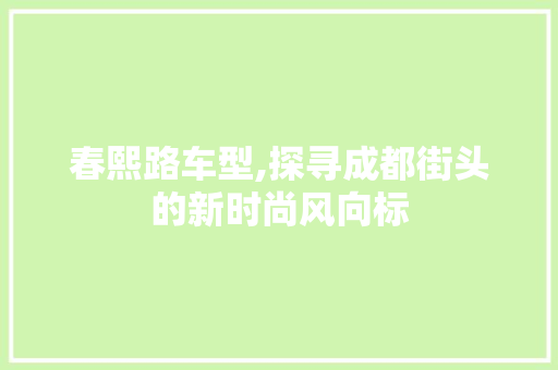 春熙路车型,探寻成都街头的新时尚风向标