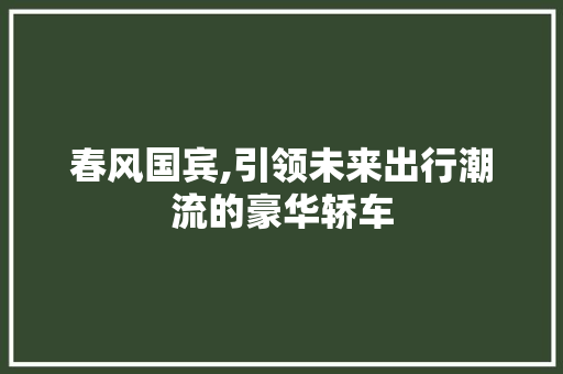 春风国宾,引领未来出行潮流的豪华轿车