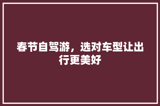 春节自驾游，选对车型让出行更美好