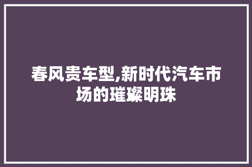 春风贵车型,新时代汽车市场的璀璨明珠