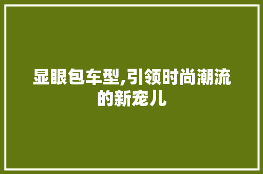 显眼包车型,引领时尚潮流的新宠儿