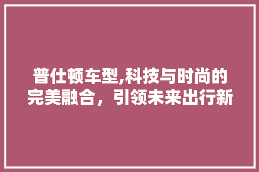 普仕顿车型,科技与时尚的完美融合，引领未来出行新潮流