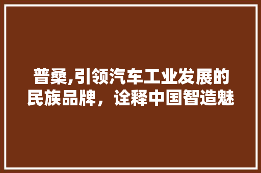 普桑,引领汽车工业发展的民族品牌，诠释中国智造魅力