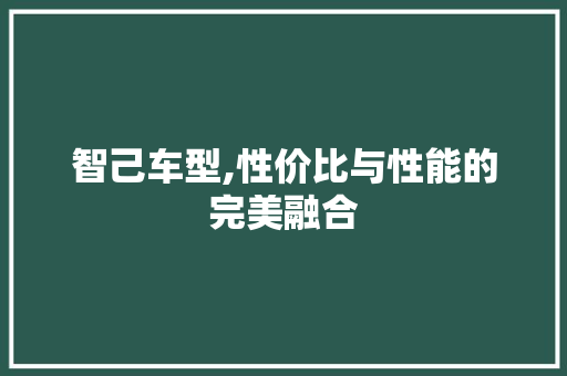 智己车型,性价比与性能的完美融合