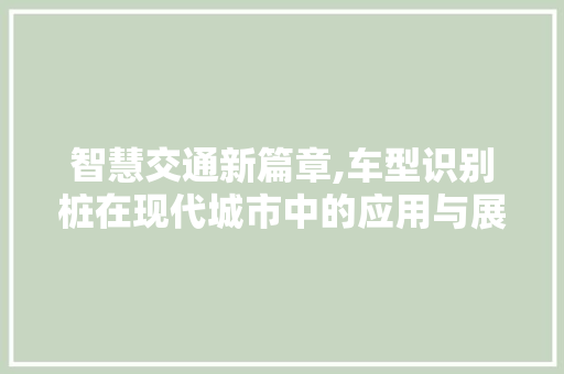 智慧交通新篇章,车型识别桩在现代城市中的应用与展望