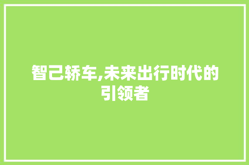 智己轿车,未来出行时代的引领者