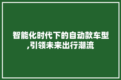 智能化时代下的自动款车型,引领未来出行潮流
