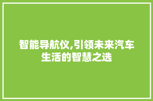 智能导航仪,引领未来汽车生活的智慧之选