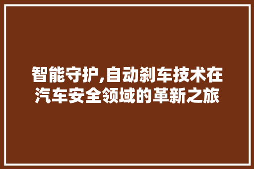智能守护,自动刹车技术在汽车安全领域的革新之旅