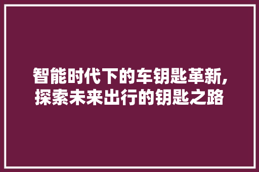 智能时代下的车钥匙革新,探索未来出行的钥匙之路