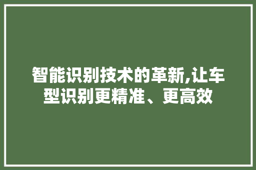 智能识别技术的革新,让车型识别更精准、更高效
