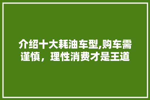 介绍十大耗油车型,购车需谨慎，理性消费才是王道