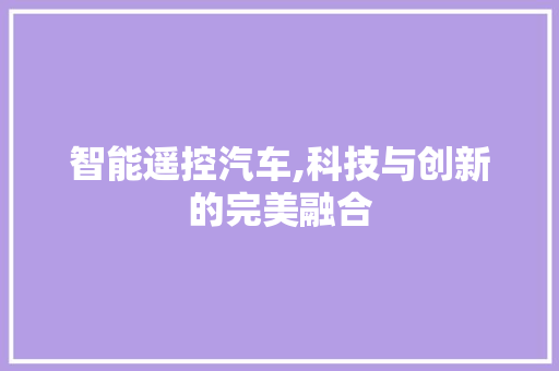 智能遥控汽车,科技与创新的完美融合