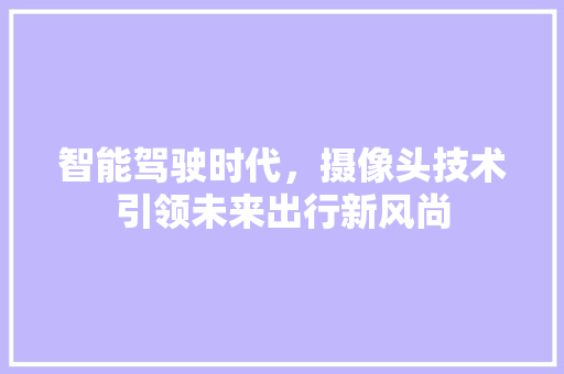 智能驾驶时代，摄像头技术引领未来出行新风尚