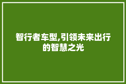 智行者车型,引领未来出行的智慧之光