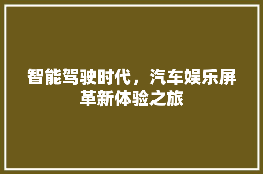 智能驾驶时代，汽车娱乐屏革新体验之旅