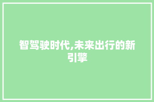 智驾驶时代,未来出行的新引擎
