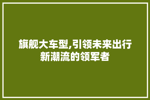 旗舰大车型,引领未来出行新潮流的领军者