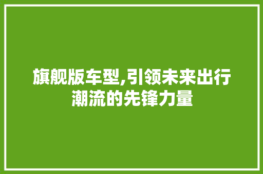旗舰版车型,引领未来出行潮流的先锋力量
