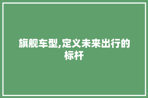 旗舰车型,定义未来出行的标杆