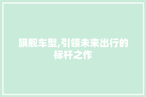 旗舰车型,引领未来出行的标杆之作