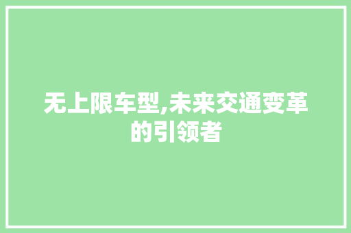 无上限车型,未来交通变革的引领者