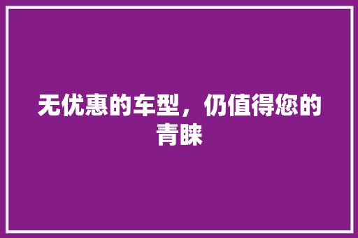 无优惠的车型，仍值得您的青睐