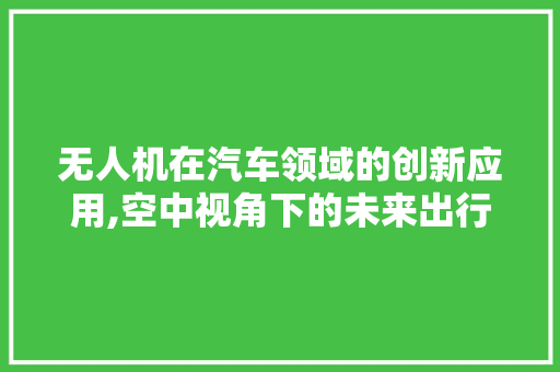 无人机在汽车领域的创新应用,空中视角下的未来出行革命