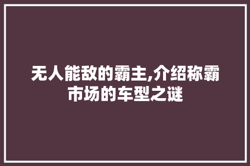 无人能敌的霸主,介绍称霸市场的车型之谜