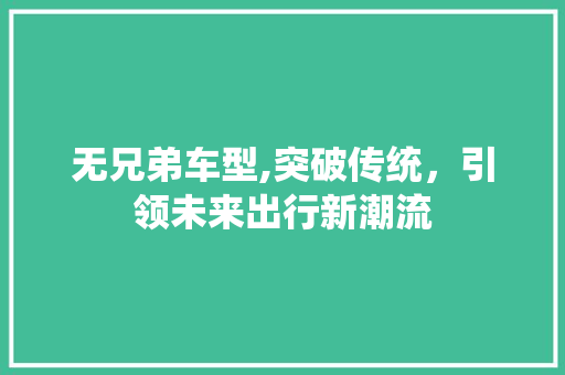 无兄弟车型,突破传统，引领未来出行新潮流 底盘配件