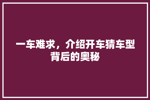 一车难求，介绍开车猜车型背后的奥秘