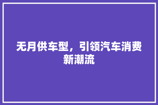 无月供车型，引领汽车消费新潮流