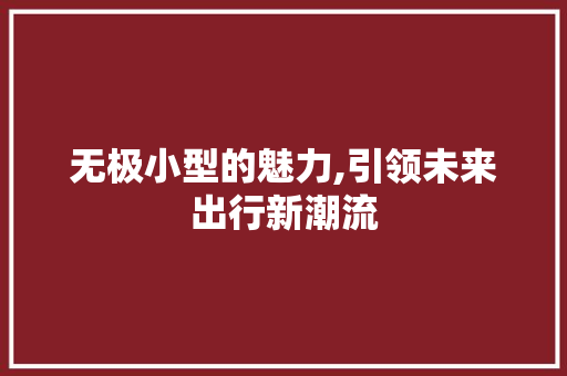 无极小型的魅力,引领未来出行新潮流