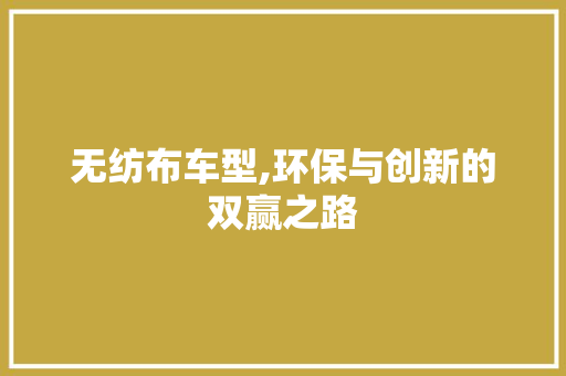 无纺布车型,环保与创新的双赢之路
