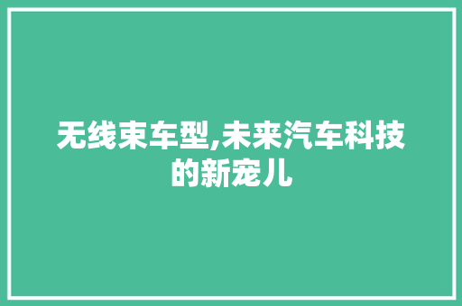 无线束车型,未来汽车科技的新宠儿