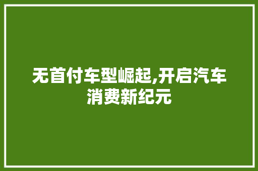 无首付车型崛起,开启汽车消费新纪元