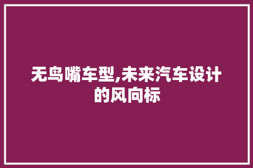 无鸟嘴车型,未来汽车设计的风向标