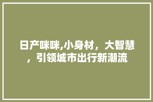 日产咪咪,小身材，大智慧，引领城市出行新潮流