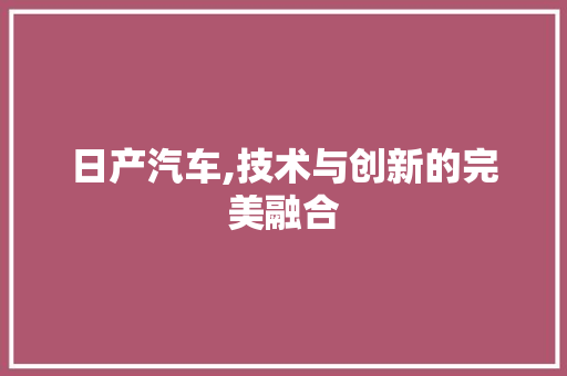 日产汽车,技术与创新的完美融合