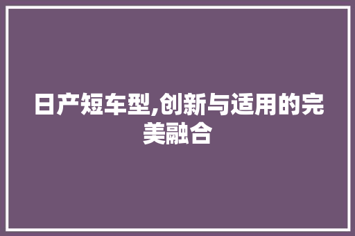 日产短车型,创新与适用的完美融合 车灯配件