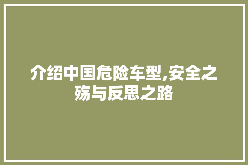 介绍中国危险车型,安全之殇与反思之路