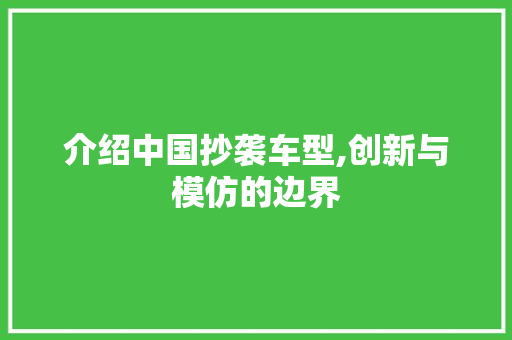 介绍中国抄袭车型,创新与模仿的边界