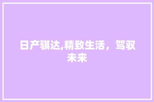 日产骐达,精致生活，驾驭未来