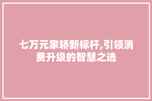 七万元家轿新标杆,引领消费升级的智慧之选