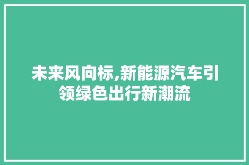 未来风向标,新能源汽车引领绿色出行新潮流
