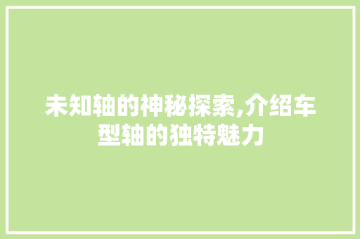 未知轴的神秘探索,介绍车型轴的独特魅力