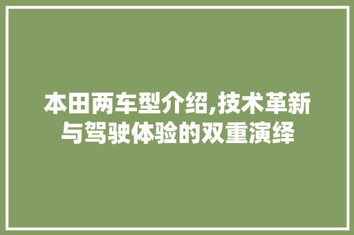 本田两车型介绍,技术革新与驾驶体验的双重演绎